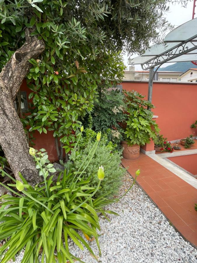 In Versilia Seravezza Bagian luar foto
