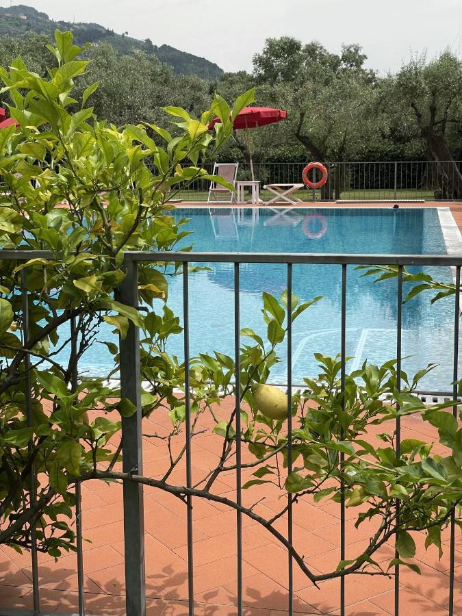 In Versilia Seravezza Bagian luar foto