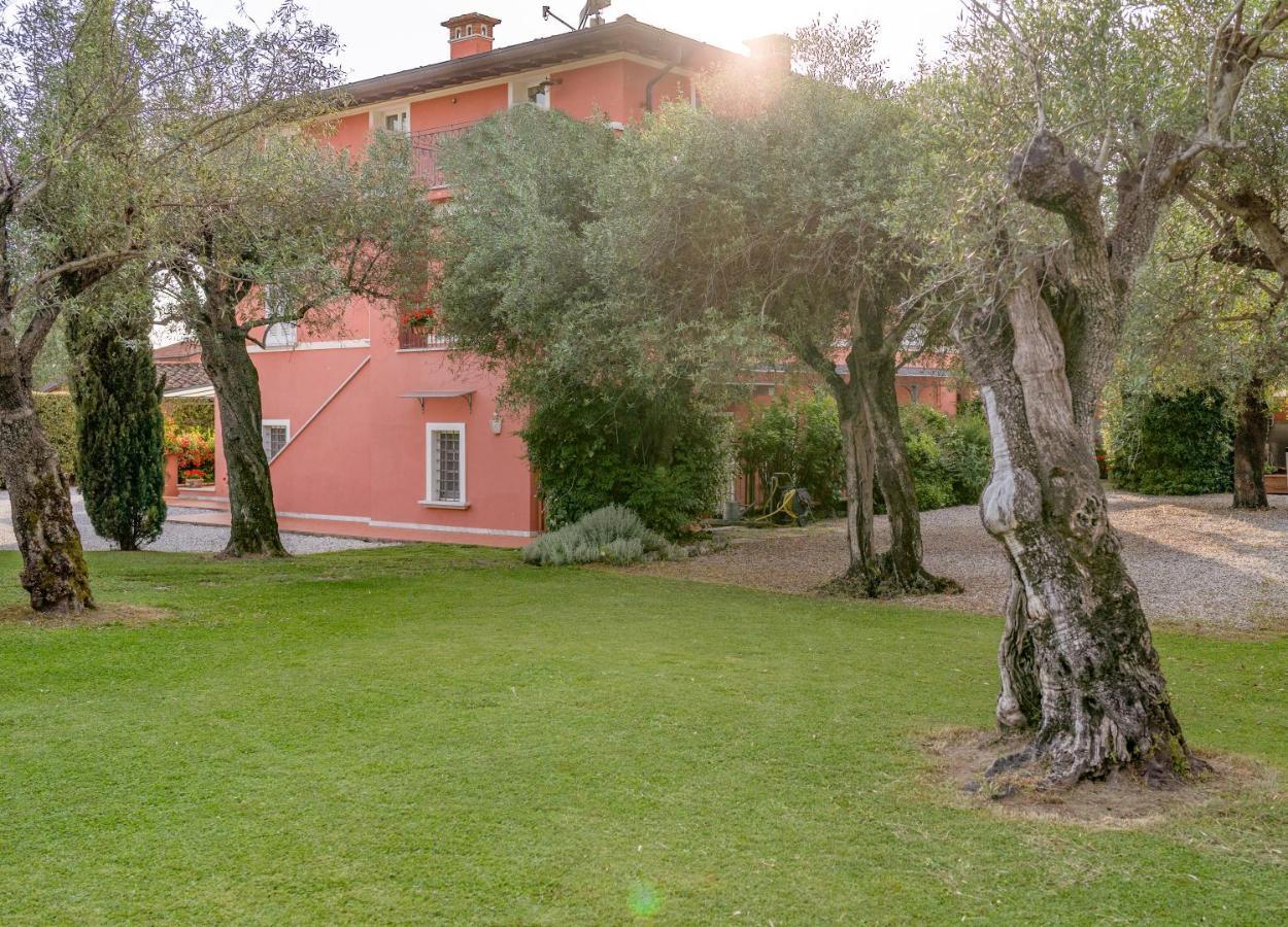 In Versilia Seravezza Bagian luar foto