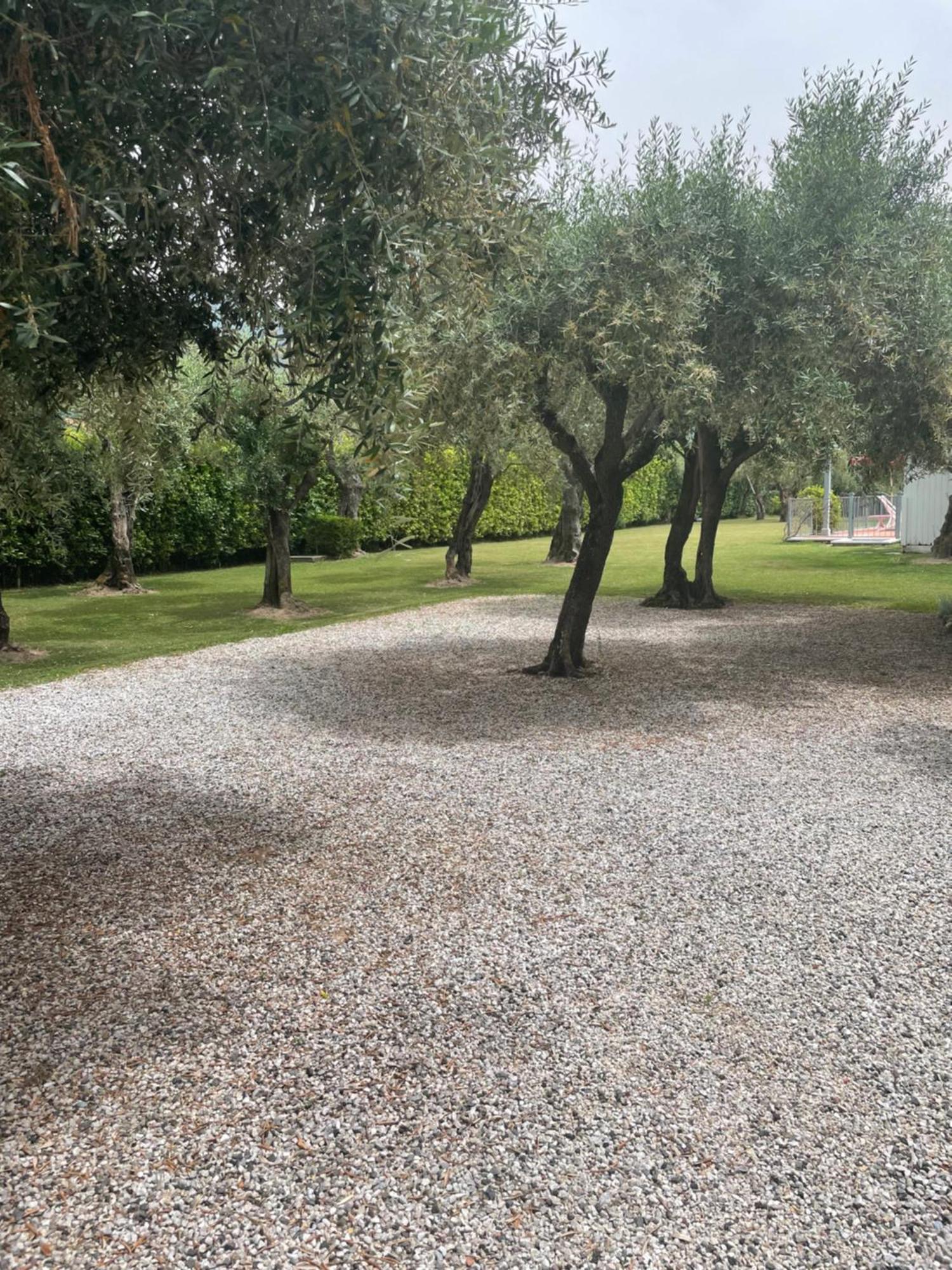 In Versilia Seravezza Bagian luar foto